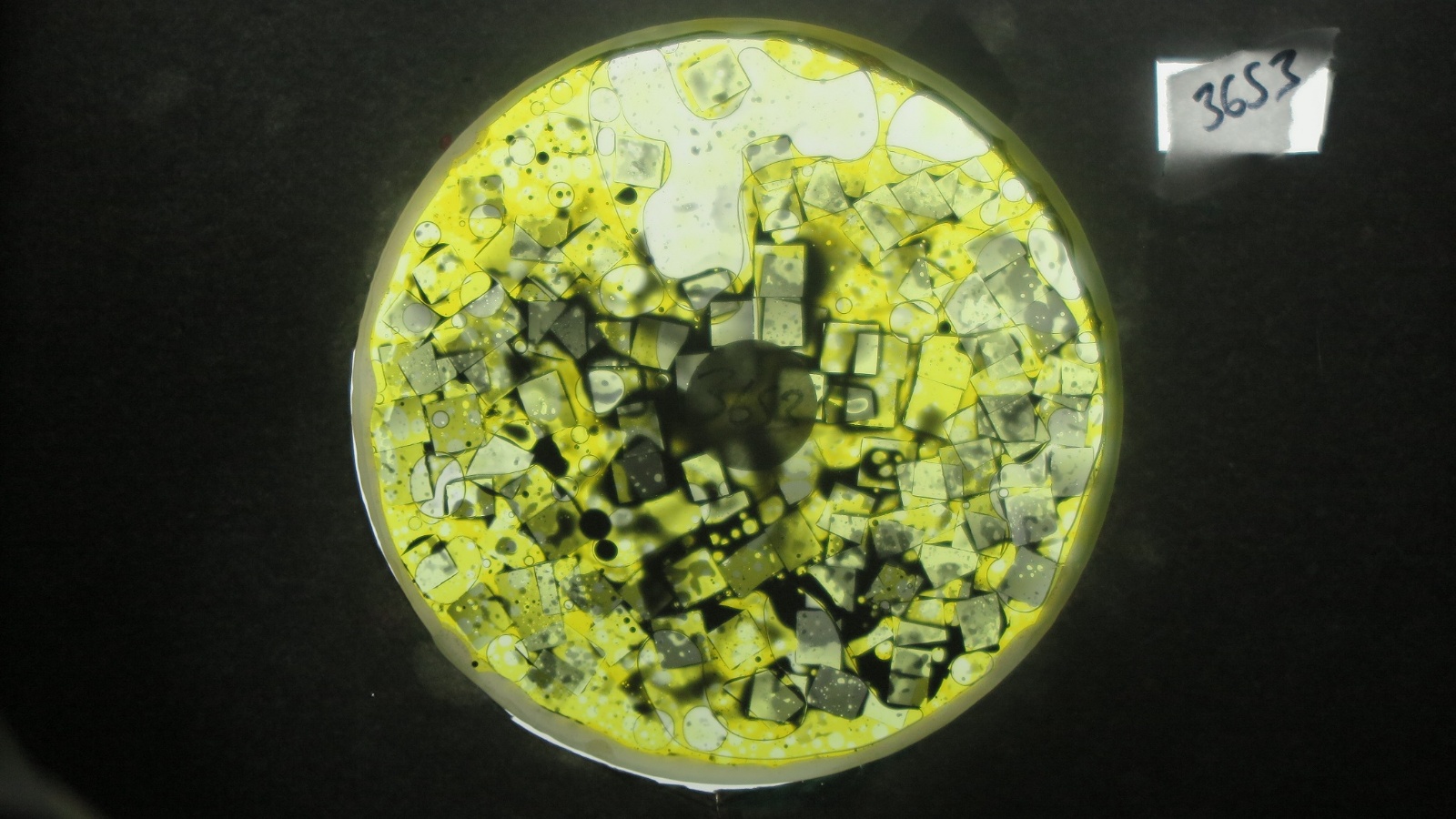 Bv3653 bubble vision oil wheel